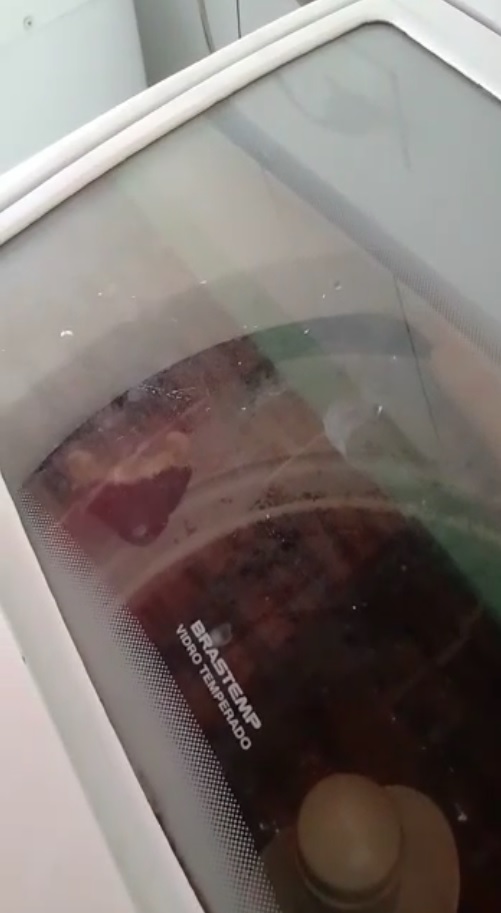Dois furões são encontrados dentro de máquina de lavar na Grande BH