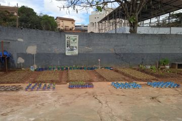 Presídio de Monlevade implanta horta beneficente; confira