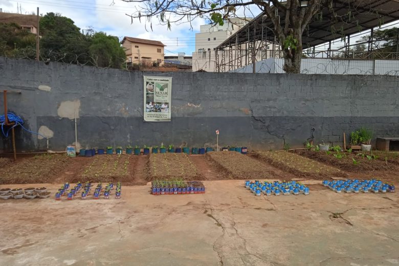 Presídio de Monlevade implanta horta beneficente; confira