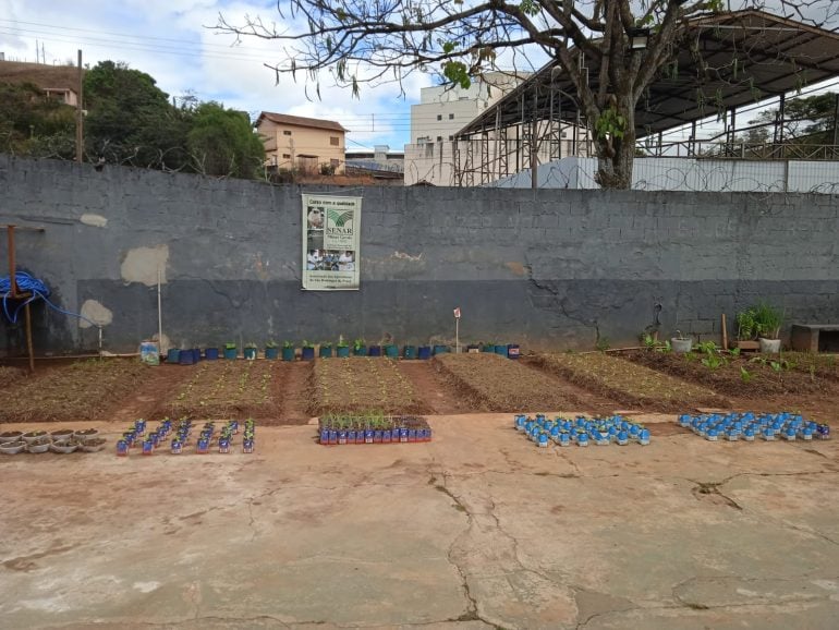 Presídio de Monlevade implanta horta beneficente; confira