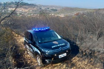 Duas mulheres são presas por incêndio criminoso em vegetação