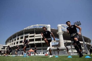 Botafogo faz confronto direto no Nilton Santos contra o Avaí pela Série B