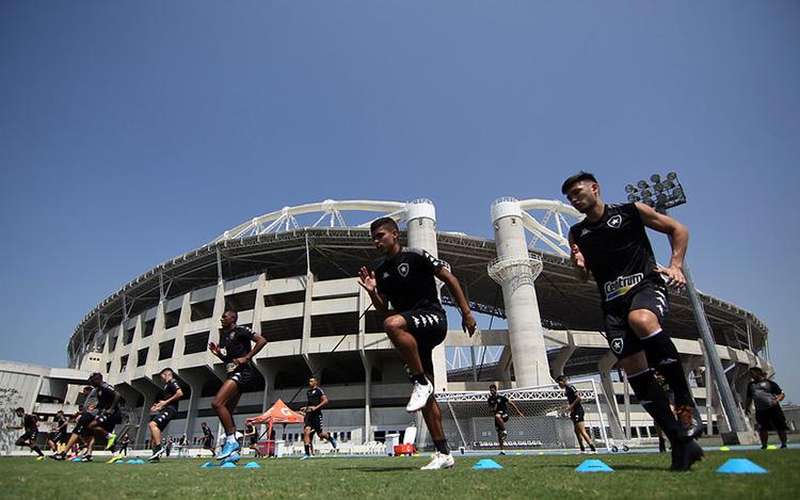 Botafogo faz confronto direto no Nilton Santos contra o Avaí pela Série B