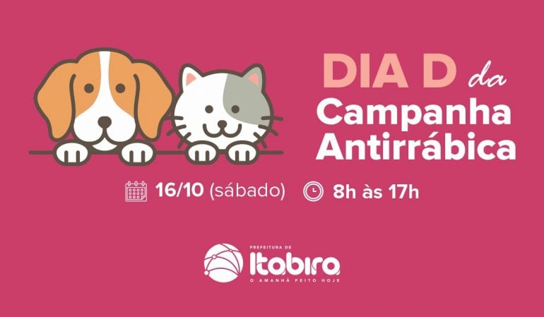 Dia D da campanha de vacinação antirrábica acontece neste sábado