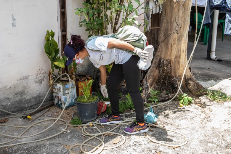 Aedes aegypti: Ipatinga realiza novo LIRAa para medir índice de infestação