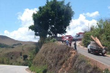 Idoso morre ao ser atacado por enxame de abelhas no Laboriaux