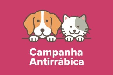 Campanha de vacinação antirrábica termina nesta sexta-feira em Itabira