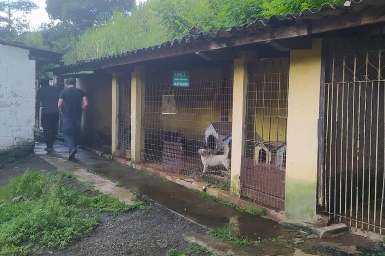 Após denúncias de voluntários no Canil Municipal, Câmara realizará audiência pública para cobrar o Executivo