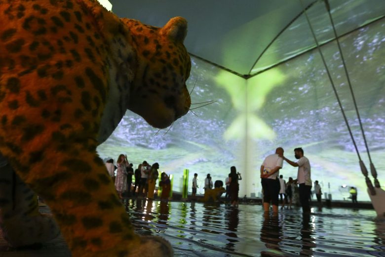 Pavilhão do Brasil recebeu 12 mil visitantes em três dias da Expo 2020