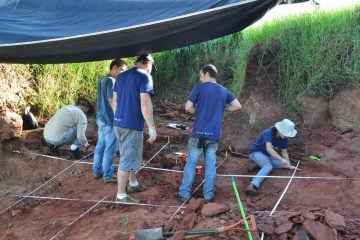 Museu Nacional anuncia descoberta de dinossauro muito raro; veja fotos