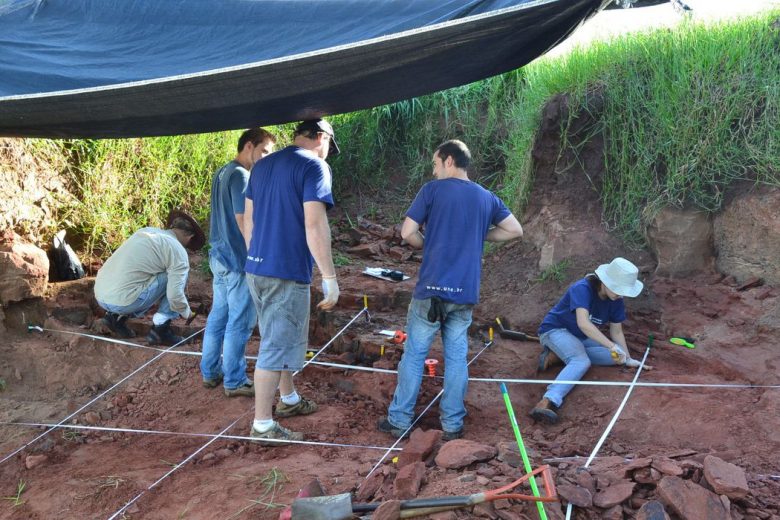 Museu Nacional anuncia descoberta de dinossauro muito raro; veja fotos