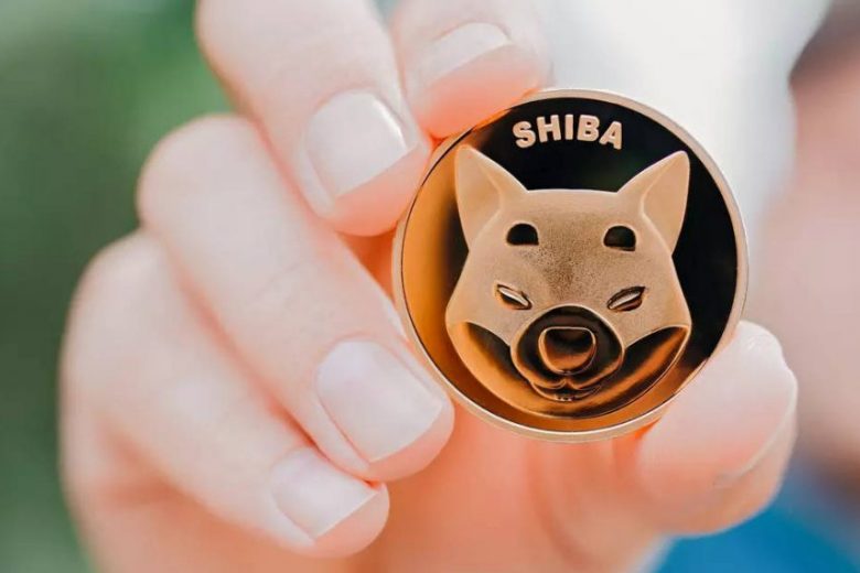 Shiba Inu: a criptomoeda teve crescimento semanal de 140% e é a terceira mais buscada no Google