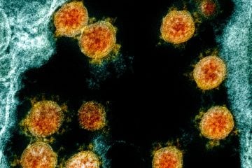 Ômicron: especialista diz que infecções são leves em crianças e “não deve gerar pânico”