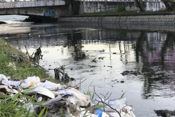 Leilão de dois blocos de saneamento de Alagoas arrecada R$ 1,6 bilhão