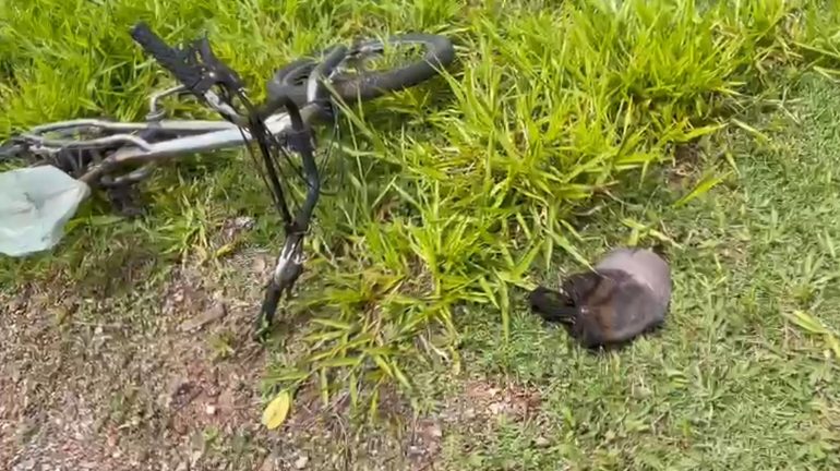 Homem recebe descarga elétrica
