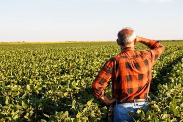 Produtor rural poderá regularizar cadastro ambiental pela internet