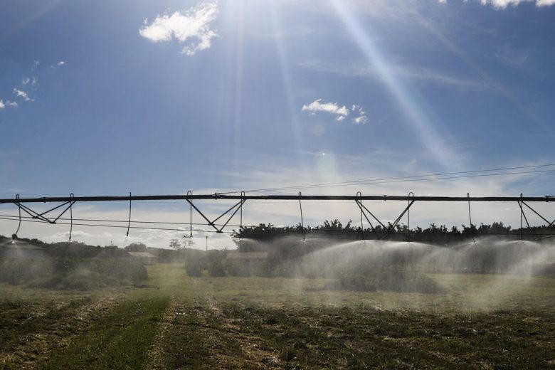 Fatores climáticos levaram à queda do PIB, diz secretaria