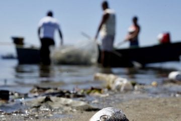 Projeto preserva cultura da pesca artesanal de mexilhões em Niterói
