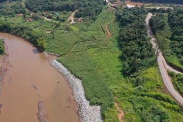Brumadinho: recuperação é lenta e apenas 8% da área foi reflorestada