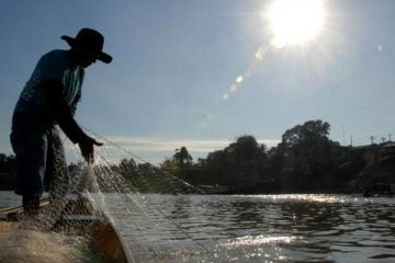 Entra em vigor período de defeso do cherne, peixe-batata e piramutaba