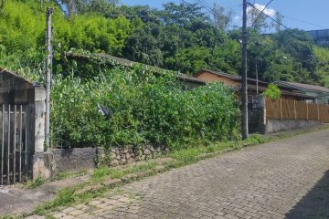 Prefeitura notifica mais de 50 proprietários de lotes sujos em Monlevade no mês de janeiro