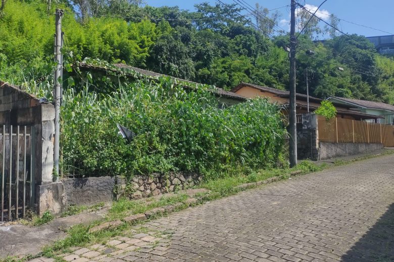 Prefeitura notifica mais de 50 proprietários de lotes sujos em Monlevade no mês de janeiro