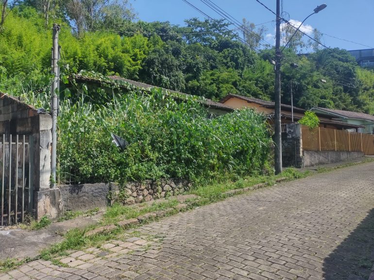 Prefeitura notifica mais de 50 proprietários de lotes sujos em Monlevade no mês de janeiro