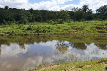 Homem morre afogado em lagoa em Ribeirão das Neves