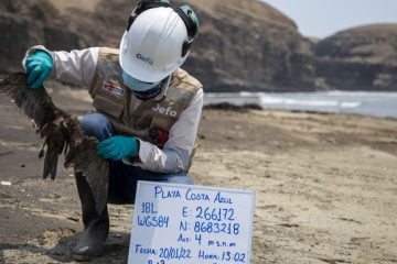 Peru declara emergência após erupção vulcânica no Oceano Pacífico