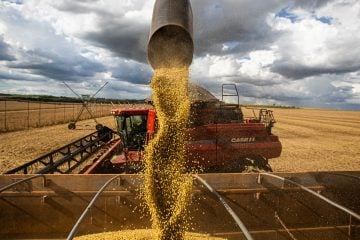 Produção agrícola deve chegar a 269,3 milhões de toneladas, diz Conab