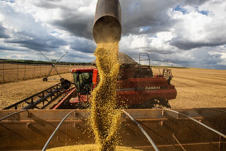 Produção agrícola deve chegar a 269,3 milhões de toneladas, diz Conab