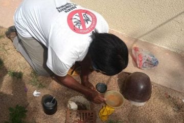 Aedes aegypti: Itabira em alerta com índice de infestação de 8,5%
