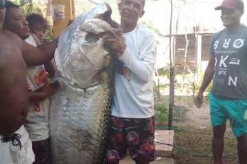 Pescador pega peixe de mais de 100 quilos; assista o vídeo