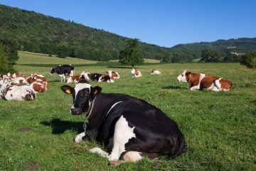 Itabira: Patrulha Agrícola abre inscrições para o primeiro semestre de 2022
