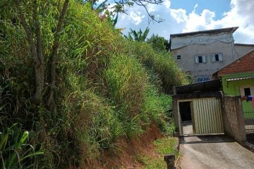 Prefeitura não encontra proprietário do lote e matagal continua invadindo casa de senhora em Monlevade