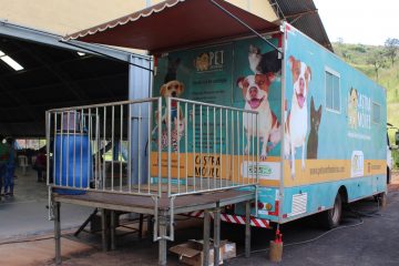 Monlevade promove 130 castrações de cães e gatos
