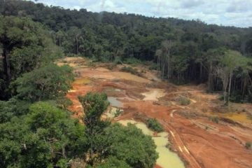 Pará: autoridades reforçam segurança de reserva indígena contra invasão por garimpeiros