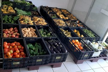 Ipatinga propõe implantação do Sistema de Segurança Alimentar e Nutricional (SISAN)
