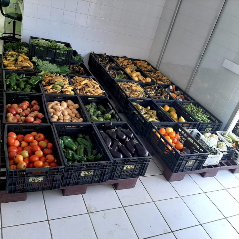 Ipatinga propõe implantação do Sistema de Segurança Alimentar e Nutricional (SISAN)