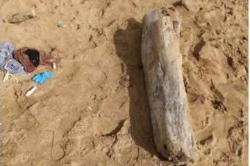 Polícia conclui que jovem abriu a barriga do namorado em Guarapari