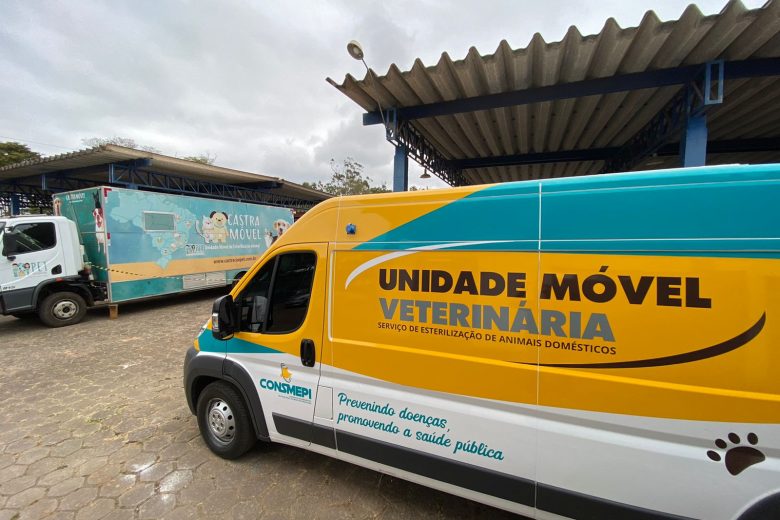 Itabira terá novo mutirão de castração de cães e gatos