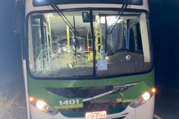 Animais na pista provocam mais um acidente em Itabira