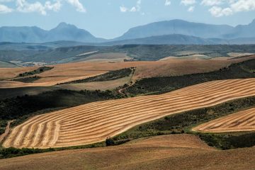 Reino Unido alerta para impacto da guerra para segurança alimentar global
