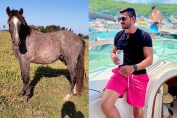 Jovem bêbado arremata cavalo em leilão on-line