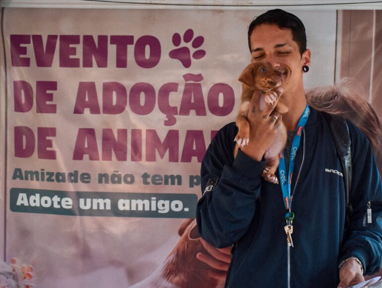 Evento de Adoção destina animais a novos lares em Mariana