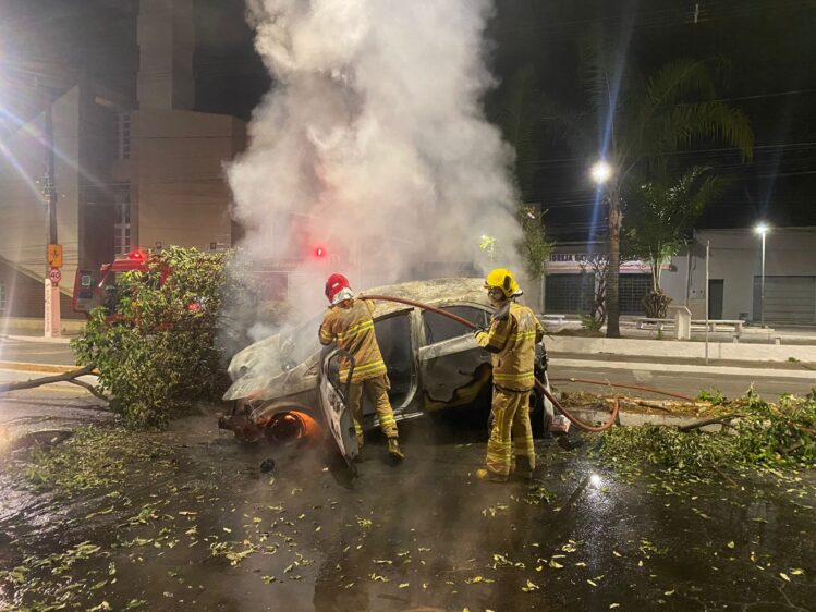 Carro bate em árvore e pega fogo em Coronel Fabriciano