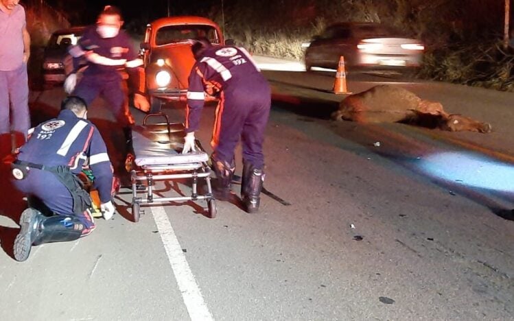 Cavalo na pista causa acidente com motociclista no Barreiro