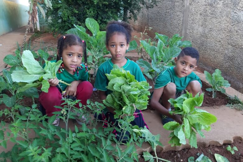 Área ociosa da Escola Municipal Cicinha Moura servirá como horta comunitária