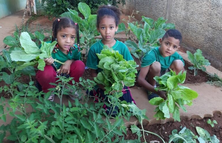 Área ociosa da Escola Municipal Cicinha Moura servirá como horta comunitária
