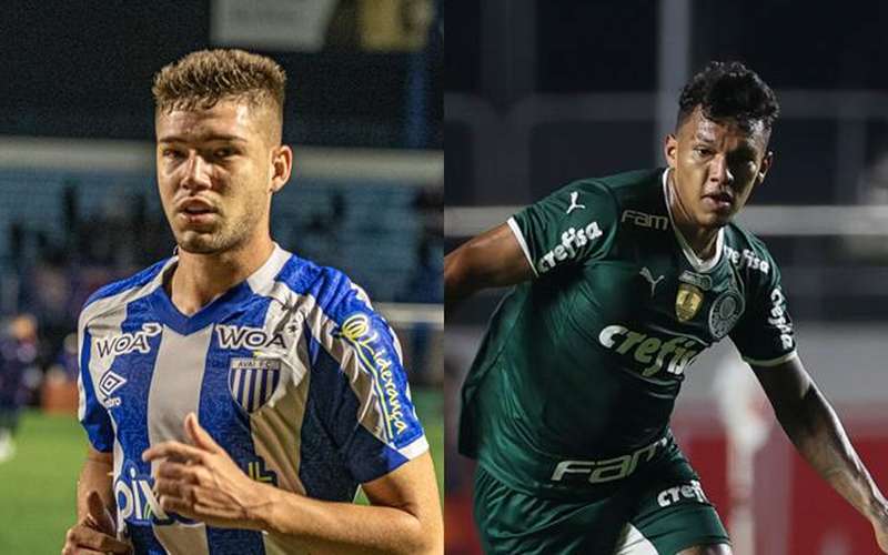 Avaí x Palmeiras: onde assistir ao jogo pela Série A do Brasileirão
